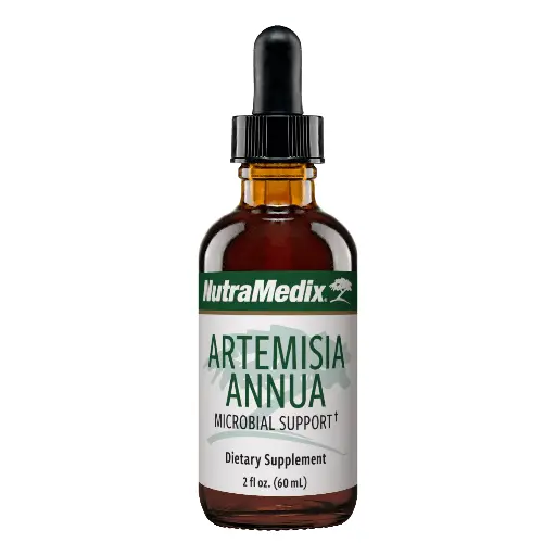 Artemisia Annua - 2oz. (60ml)